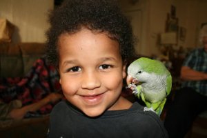 pet therapy bird making a visit to hospice pt.'s family