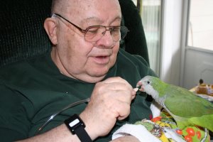 pet therapy bird making a visit to hospice pt.