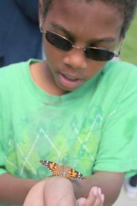 young boy releasing a live butterfly