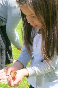 young girl releasing a live butterfly