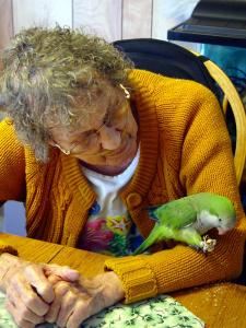 Hospice Pet Therapy